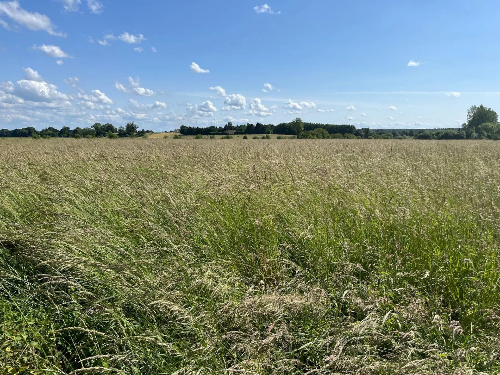 Herbage à vendre à Notre Dame de Bliquetuit - 1ha 76a 10ca