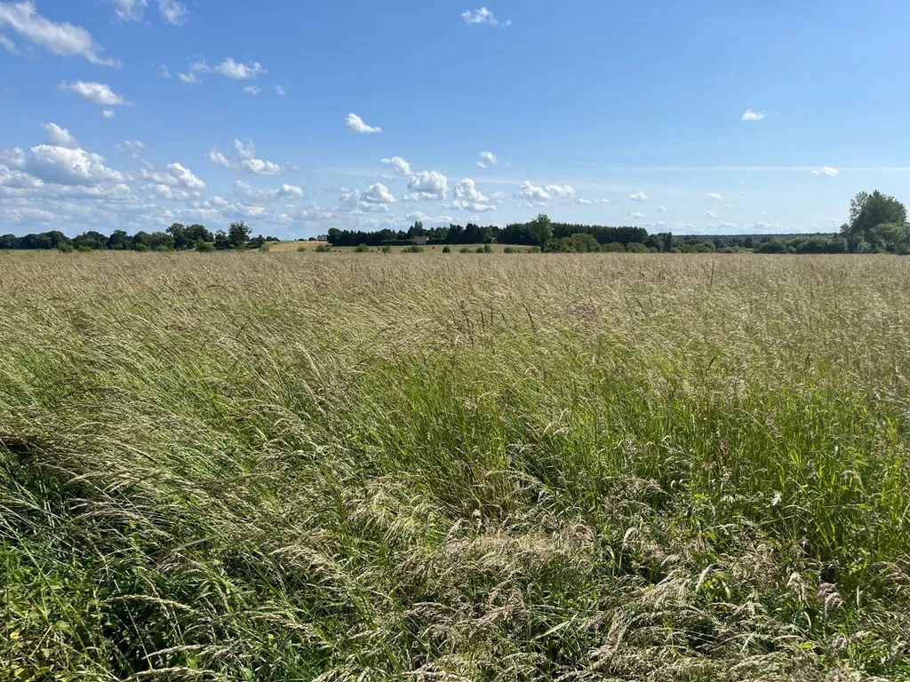 Herbage à vendre à Notre Dame de Bliquetuit - 1ha 76a 10ca