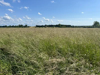Herbage à vendre à Notre Dame de Bliquetuit - 1ha 76a 10ca