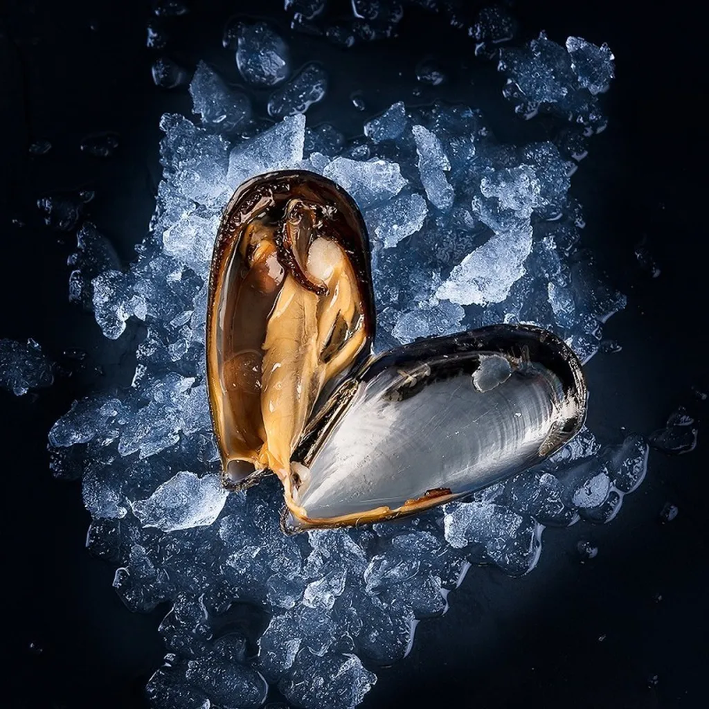 Moule de bouchot