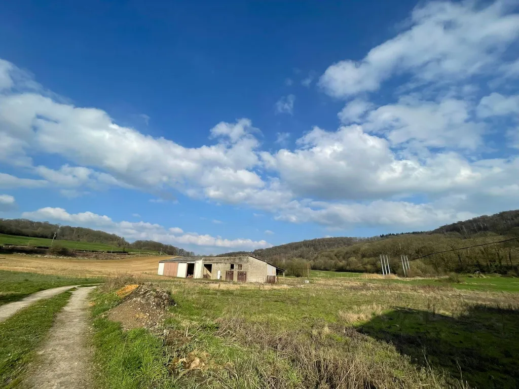 Nos prestations sur le secteur deVeules-les-Roses 76980 en Seine-Maritime