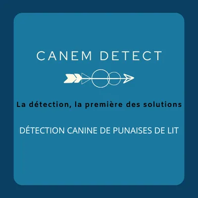 Canem Detect vous accompagne en détection de punaises de lit en Ile-de-France, Lyon et la région Aura