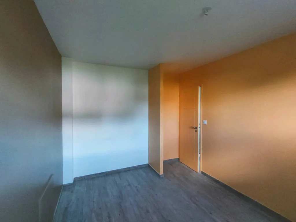 mur de couleur en peinture veloutée de chez SIGMA