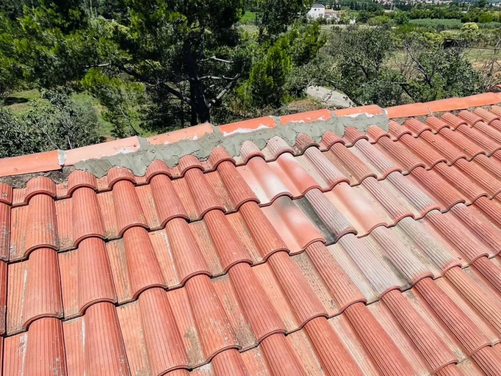 couvreur pour réparation de toiture Ensuès-la-Redonne 13820