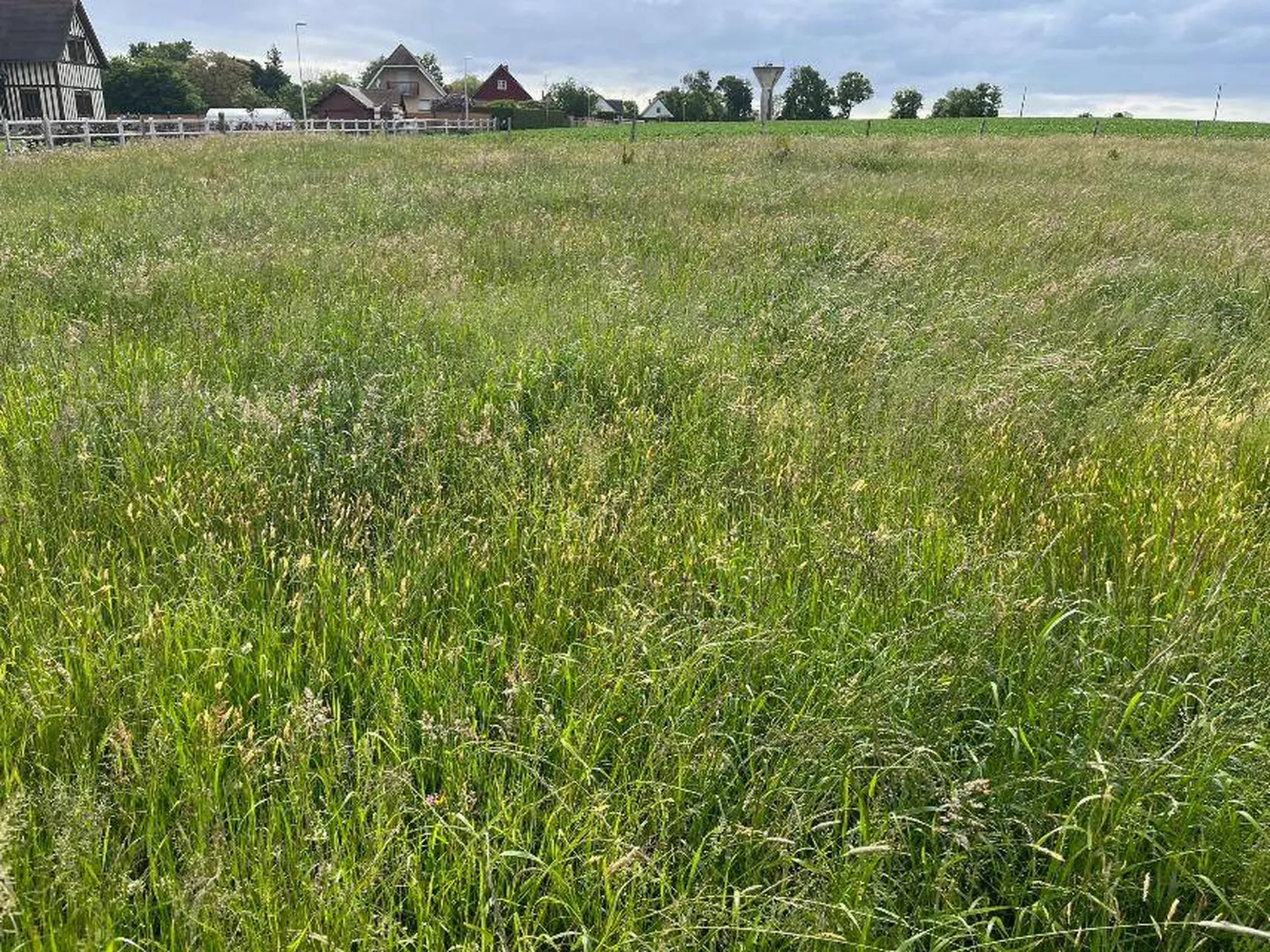 A vendre, terrain à bâtir, situé à Triquerville - Axe Caudebec en Caux / Lillebonne