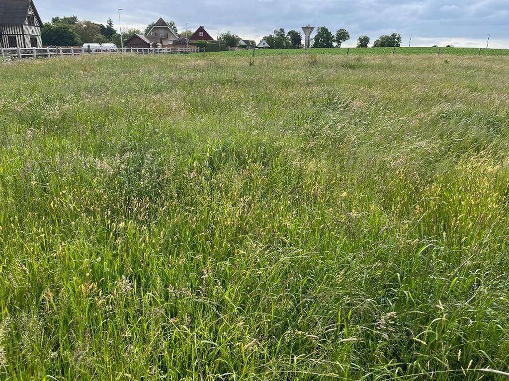 A vendre, terrain à bâtir, situé à Triquerville - Axe Caudebec en Caux / Lillebonne