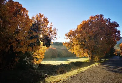 Provence Home Sitting supports you in your installation in Provence