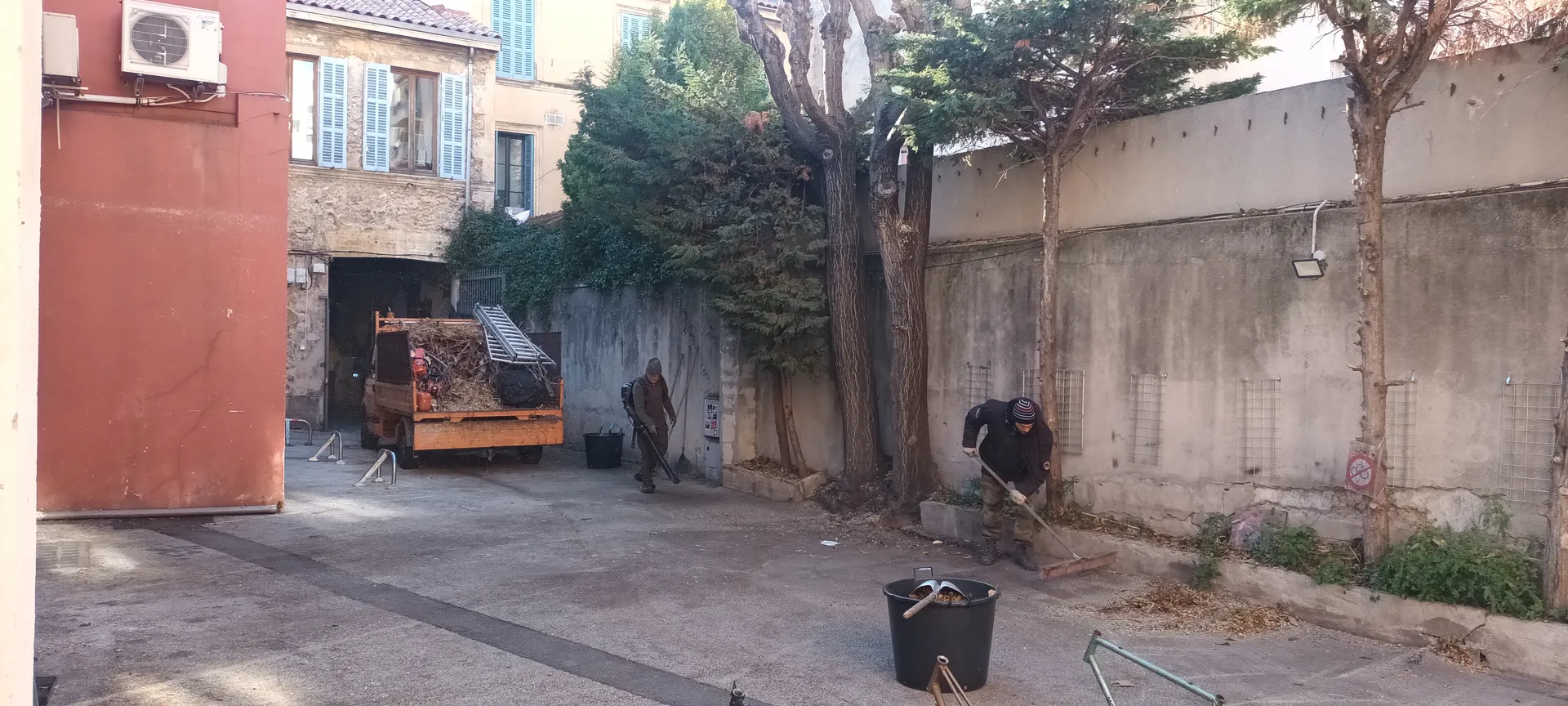 Elagage d'Ellante 12 ème arrondissement de Marseille 