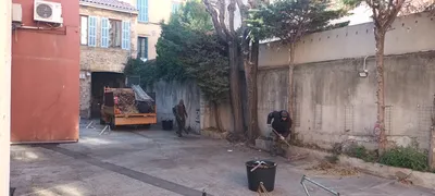 Elagage d'Ellante 12 ème arrondissement de Marseille 