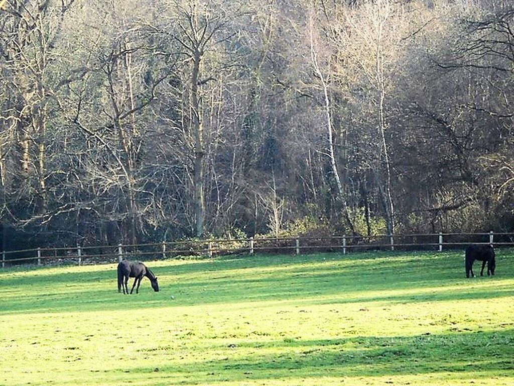 chaumière à vendre près de honfleur en normandie
