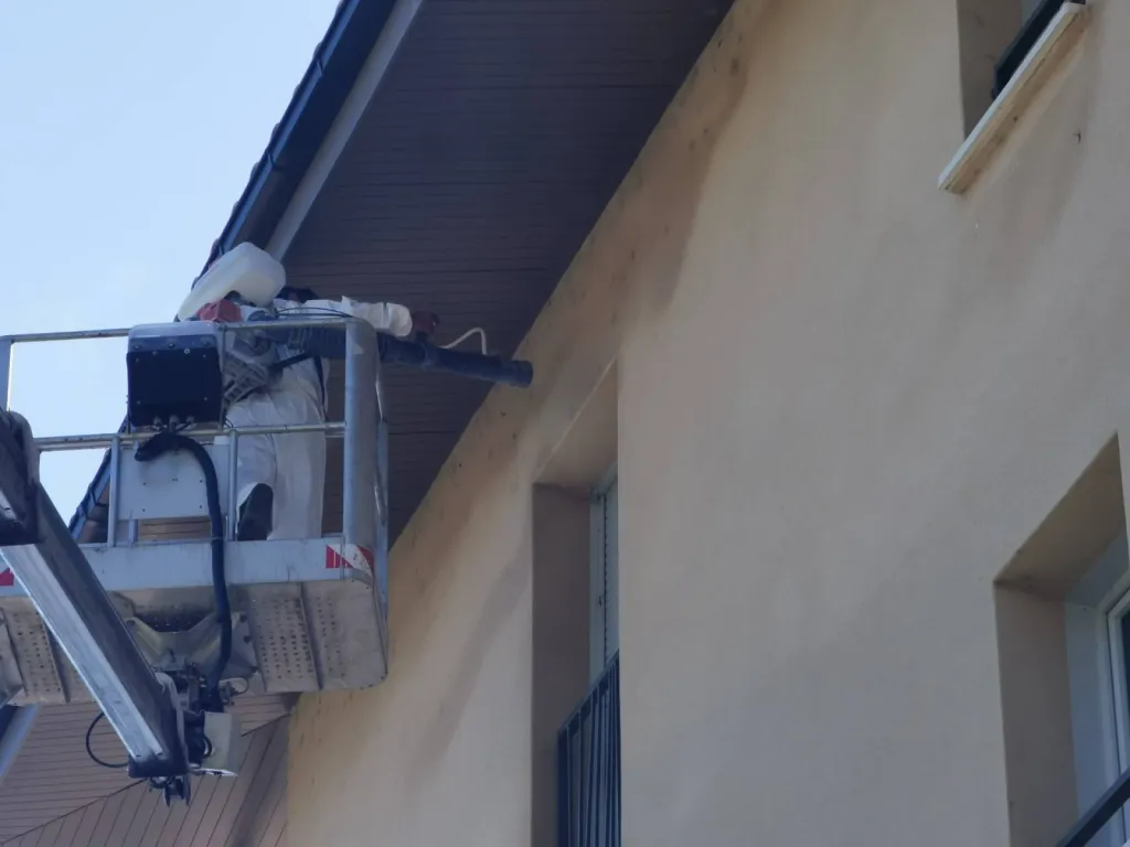 désinsectisation de façade istres