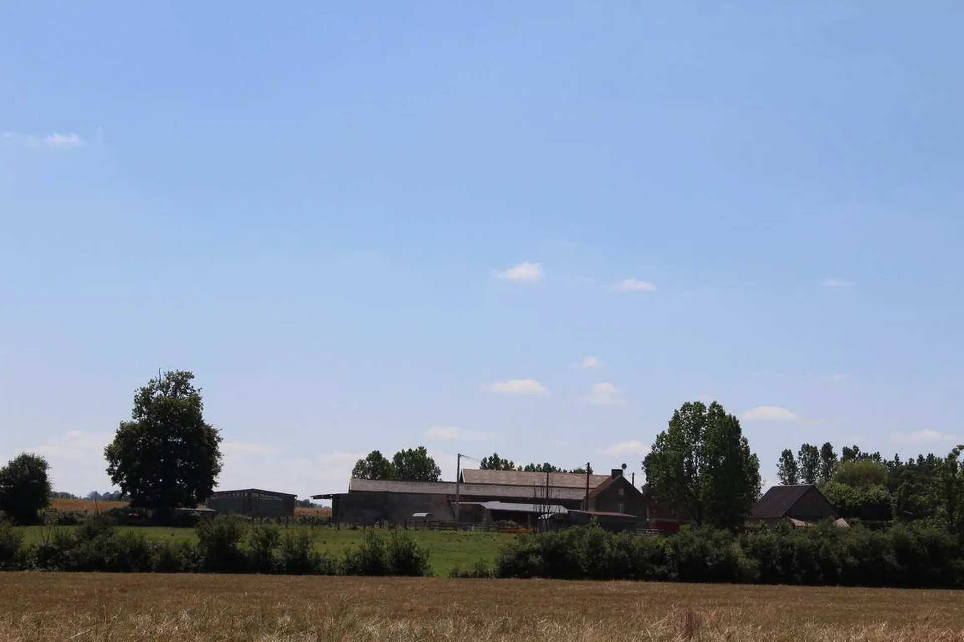 En vente propriété agricole sur 114 hectares de terres proche Falaise 14700