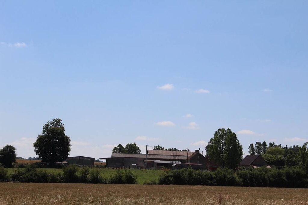 En vente propriété agricole sur 114 hectares de terres proche Falaise 14700