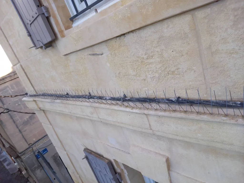 pics sur corniches contre les pigeons en arles