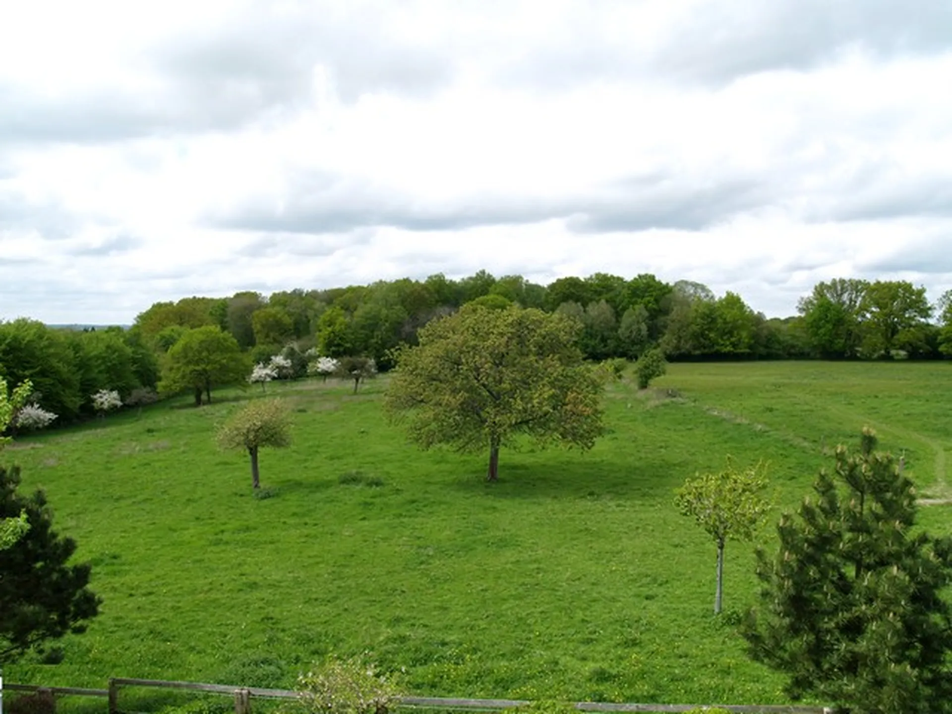 PROPRIETE EQUESTRE OU HERBAGERE proche de LISIEUX, Calvados 14