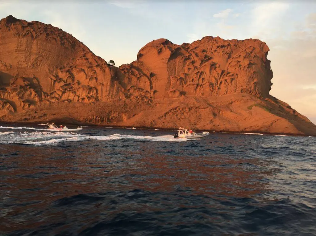 Wonderful cliffs in the Calanques