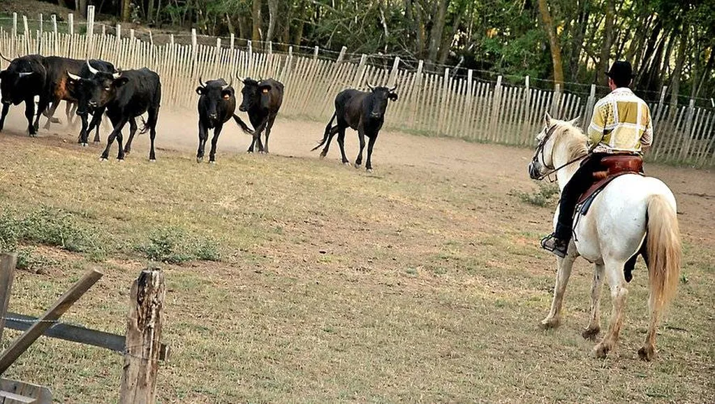 le mas de la page vias 4 étoiles