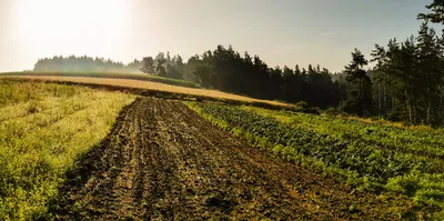 Vendre votre terrain constructible ou agricole à Vichy