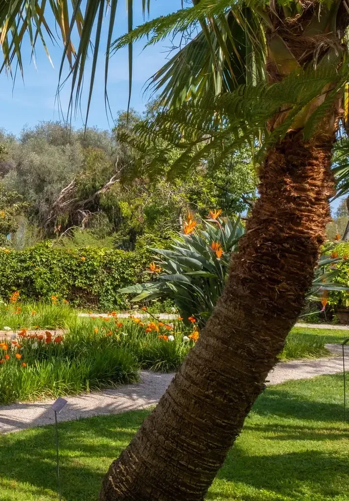 Paysagiste à Cuges pour aménagement de jardin et création d’espace vert dans le Var et les Bouches-du-Rhône