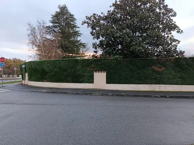 Demandez à votre paysagiste MAT'TAILLE de s'occuper de vos extérieurs !Comme ici, à Tournefeuille, cette haie de plus de 90m de long...