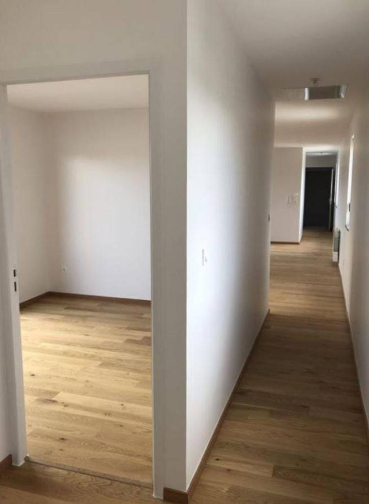 Appartement- 3 pièce(s) - situé rue de Buffon-1070€ charges comprises