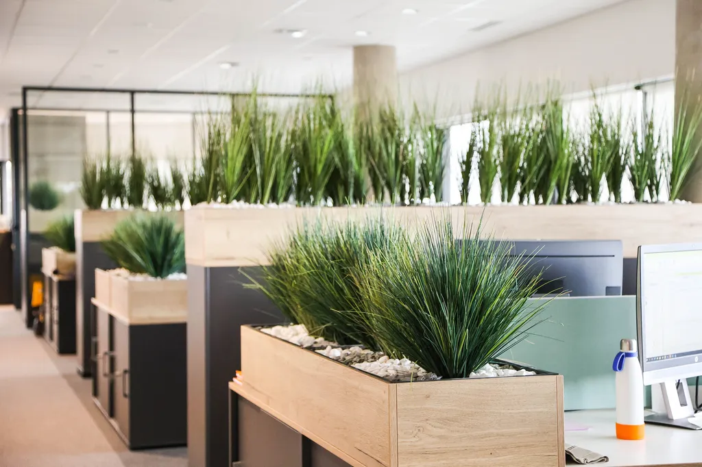 Aménagement floral avec des plantes grasses dans des bacs en bois avec graviers blancs pour décorer un open space dans une entreprise à Ecully près de Lyon