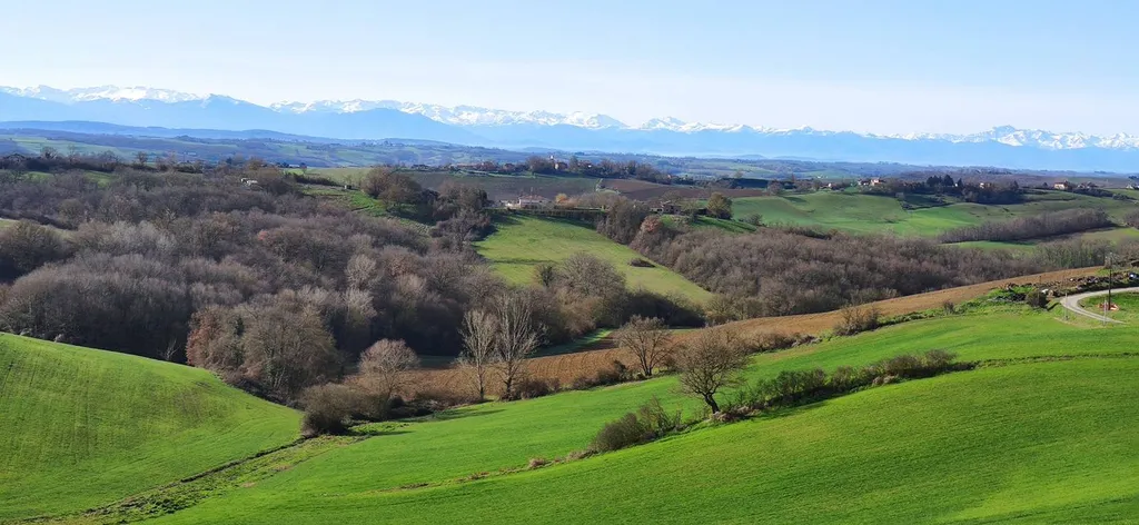 Bureau d'étude pour plantations haies paysagère