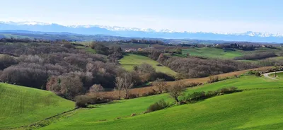 Bureau d'étude pour plantations haies paysagère