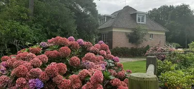 Maison à vendre proche Varengeville sur Mer