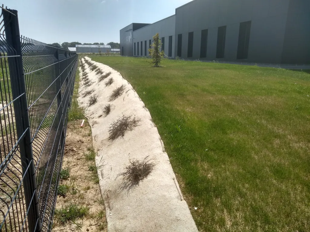 Aménagement d’extérieur au Parc Éco Normandie à Saint-Romain-de-Colbosc