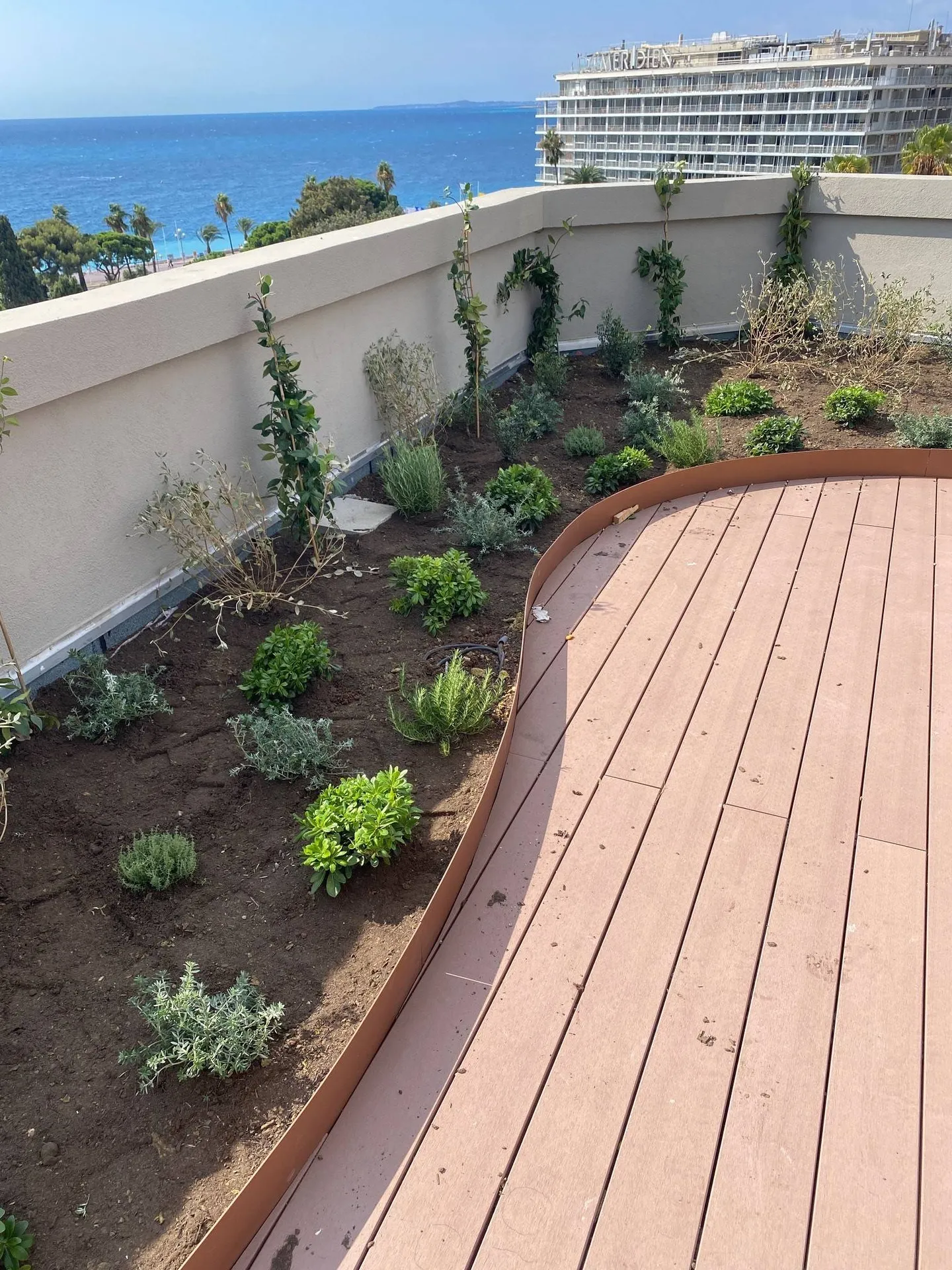 Toiture végétalisée à Nice Place Massena