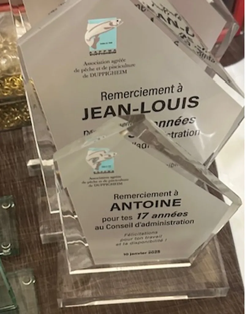 Devis rapide en ligne pour lot de Coupes Prestige sur-mesure pour remise de prix à Nancy