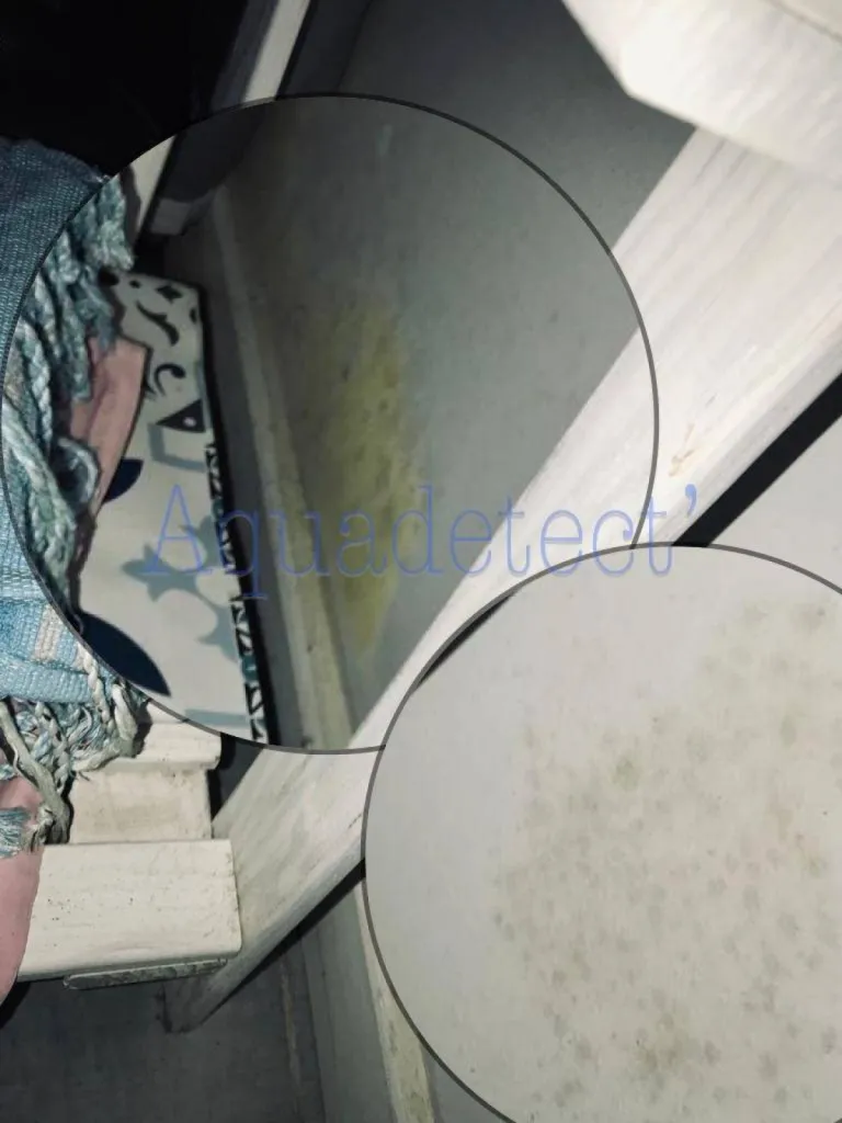 Humidité salpêtre dans un appartement à TOULON dans le VAR