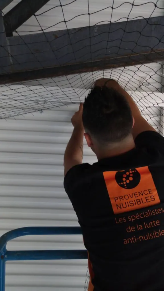 filet contre les volatiles marseille provence