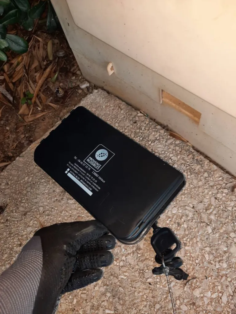 tuer les rats dans les jardins à marignane 13700