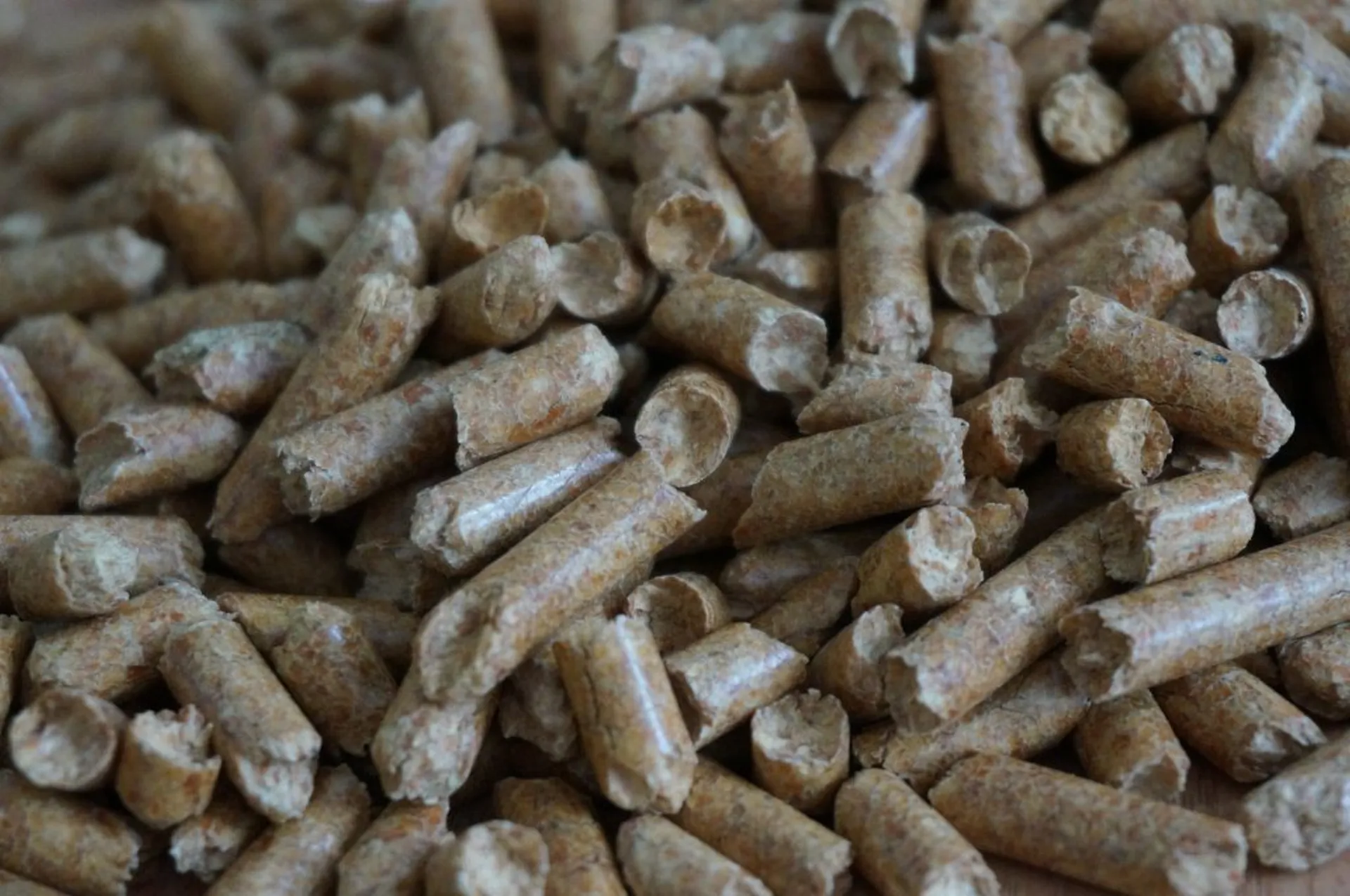 Granulés de bois utilisés comme énergie pour chaudière à pellets à Belleville-en-Beaujolais