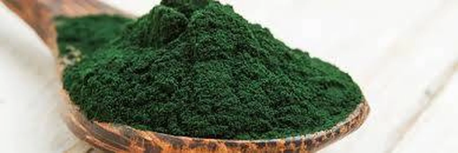 Spiruline Toulon