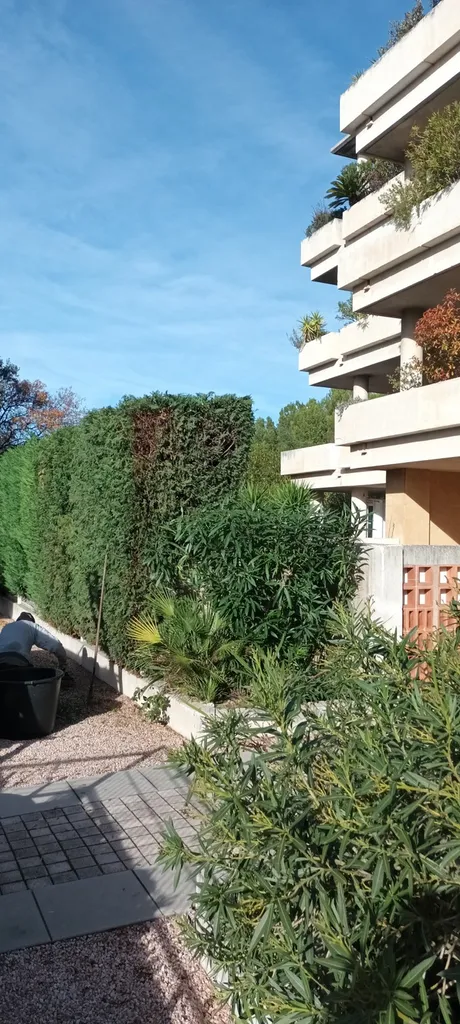 entretien de jardin marseille 13012