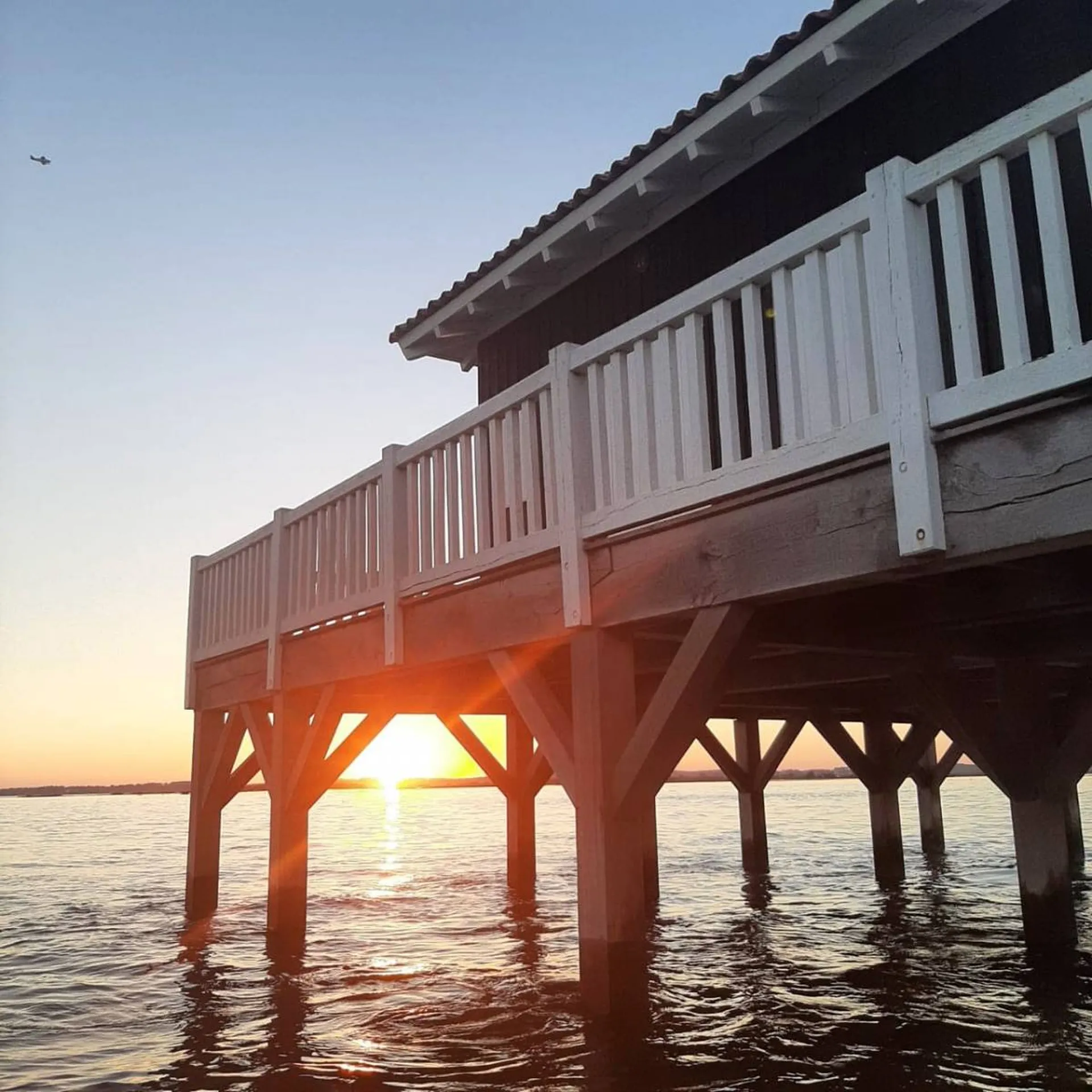En vacances au Cap Ferret ? C'est l'occasion de faire une balade en bateau sur le Bassin d'Arcachon !