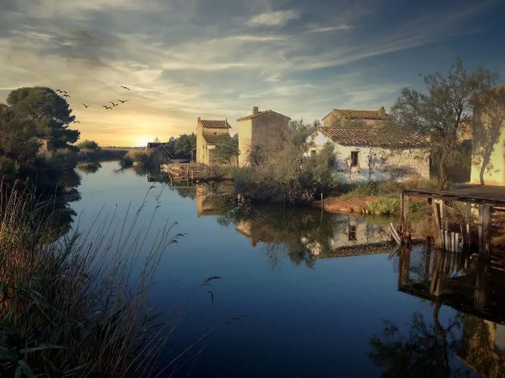 Safari 4x4 à La Grande-Motte : L'Exclusivité de l'Étang de l'Or en Camargue