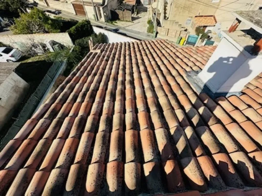 Intervention de couvreur pour un nettoyage de tuiles de toiture de maison près de Martigues 