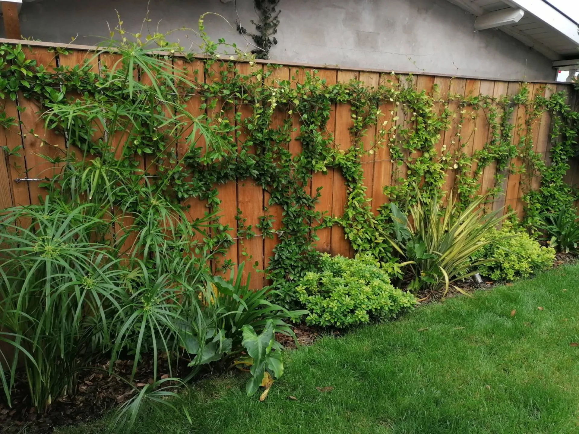 ENTRETENIR SON JARDIN EN HIVER SUR LE BASSIN D'ARCACHON PAR LES PAYSAGES D'ANTOINE