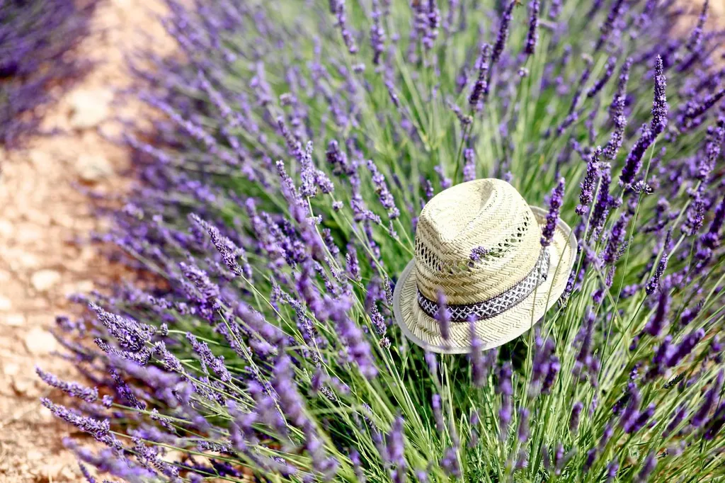 Livraisons rapides de colis de moins d'une tonne en Provence