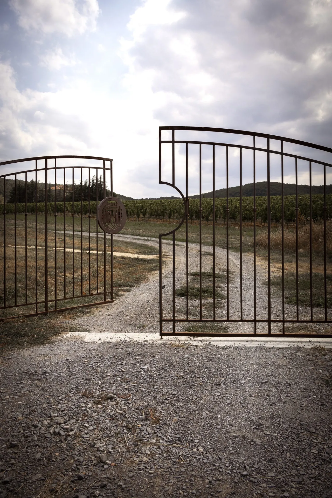 Portail sur mesure en fer forgé pour la cave a vin Terra Noé a Rochecolombe en Ardèche.