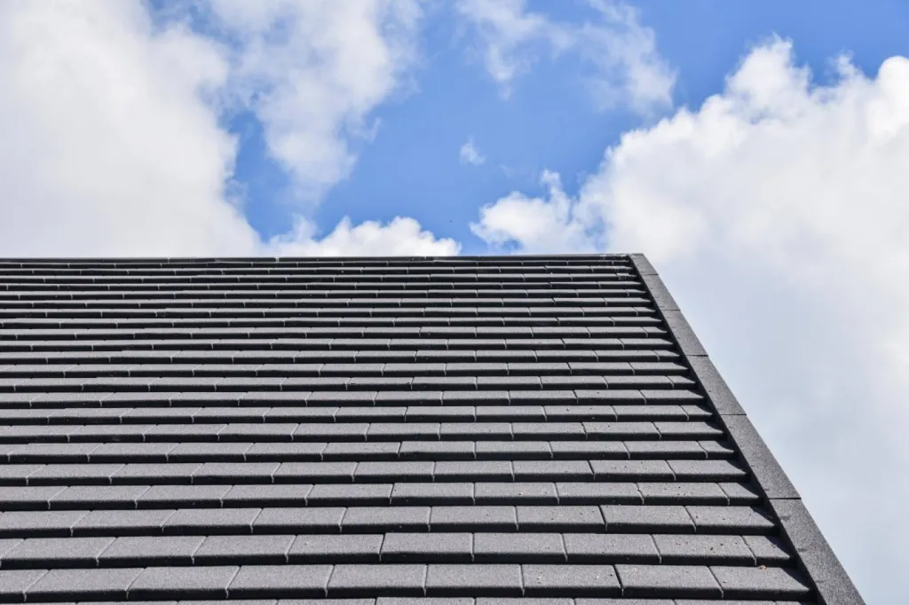 Tuile GERARD ELEGANTA - Rive droite