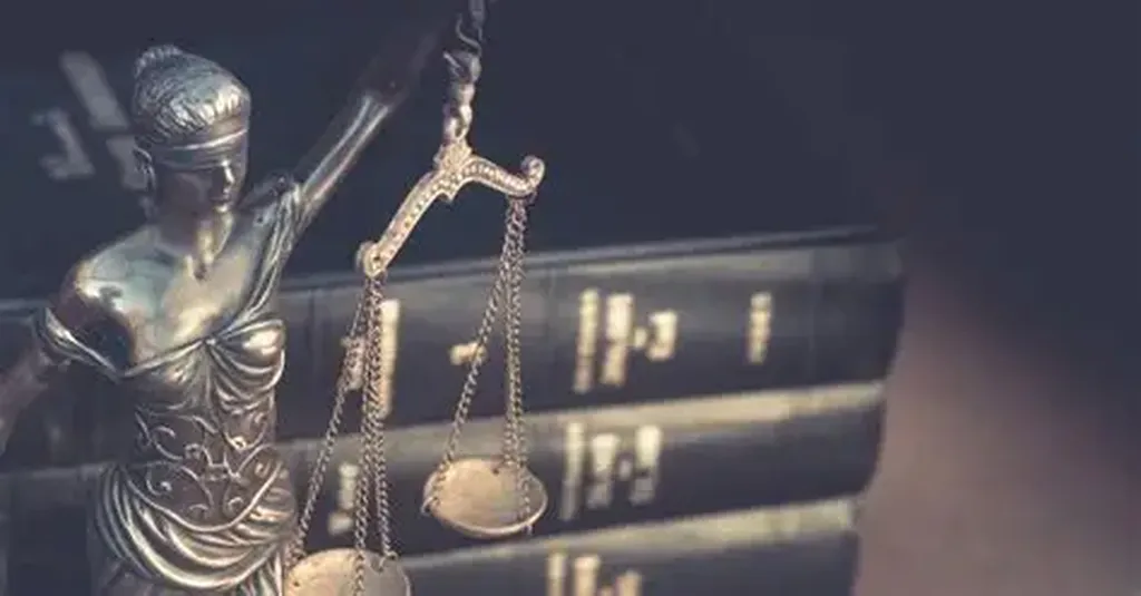 L'incidence du cautionnement dans la protection sociale