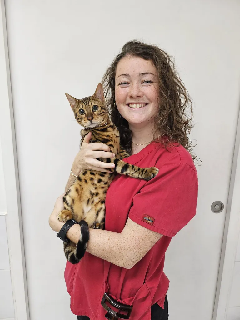 <b>Anne</b> <br> Assistante vétérinaire échelon 5