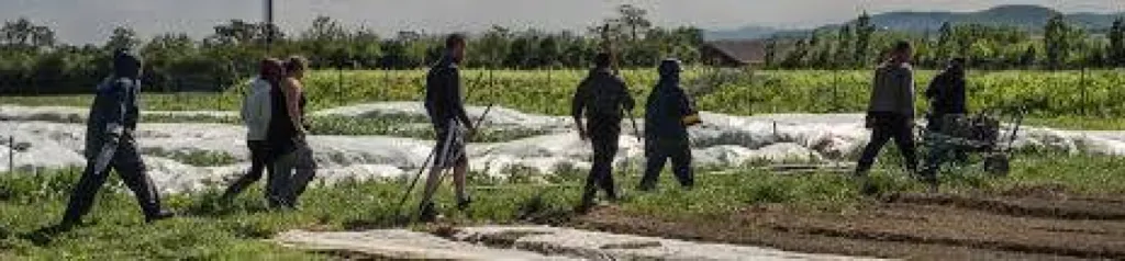 jardin de cocagne Macon