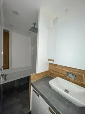 salle de bain avec baignoire et douche