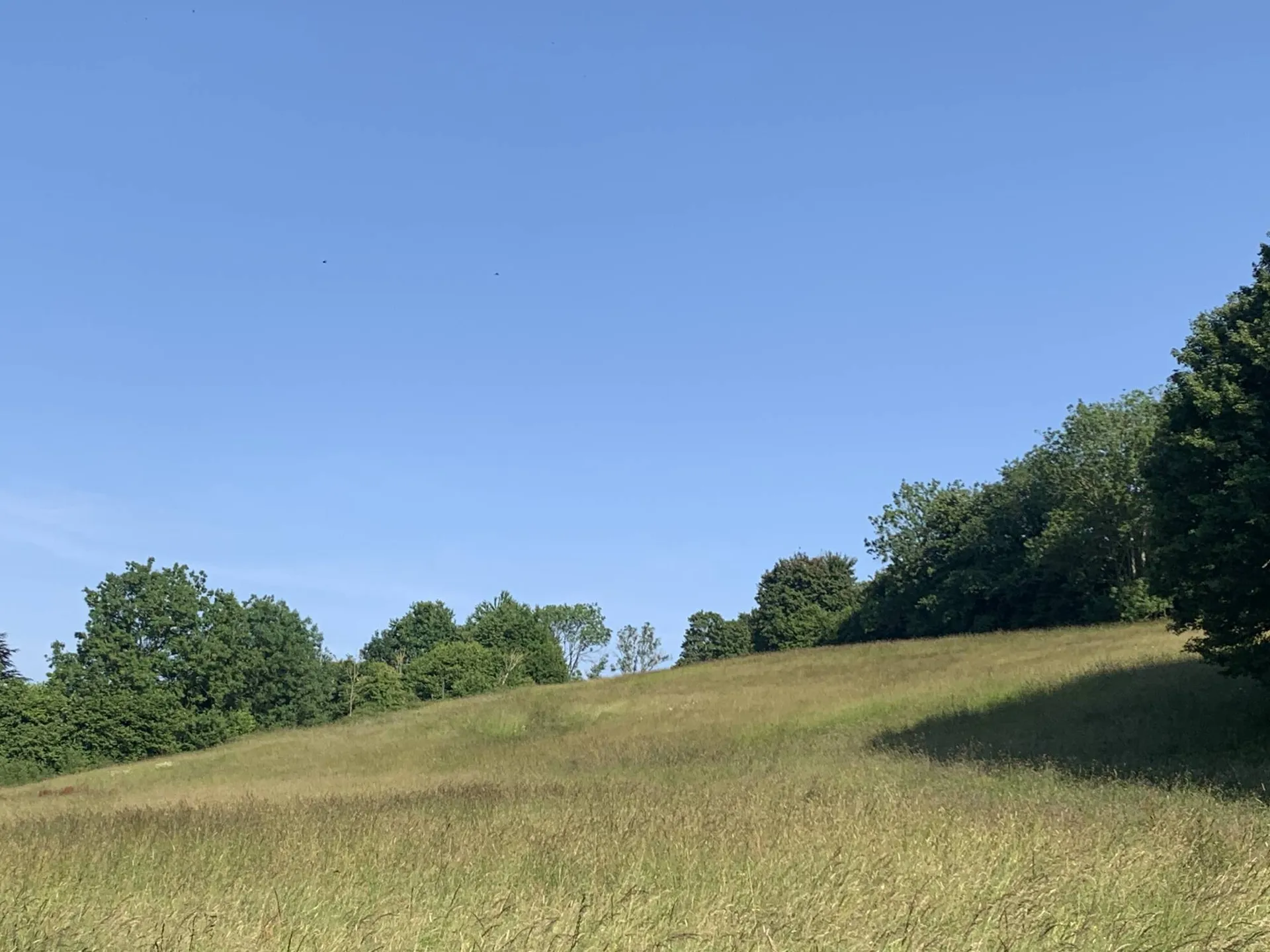 A ACQUERIR - PAYS D'AUGE DU CALVADOS Au sud de LISIEUX 14100 : Corps de ferme normand avec 9 ha 50 a de terrain